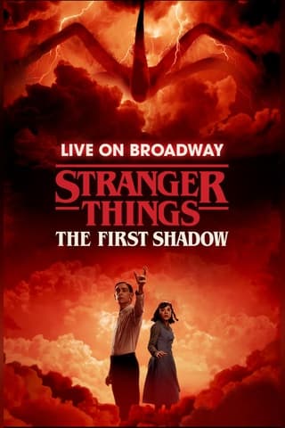 Stranger Things: The First Shadow poster